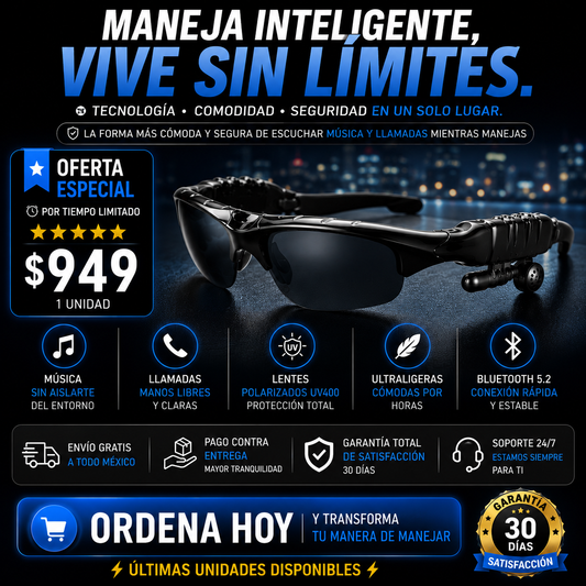 SonicVision - Lentes De Sol Con IA